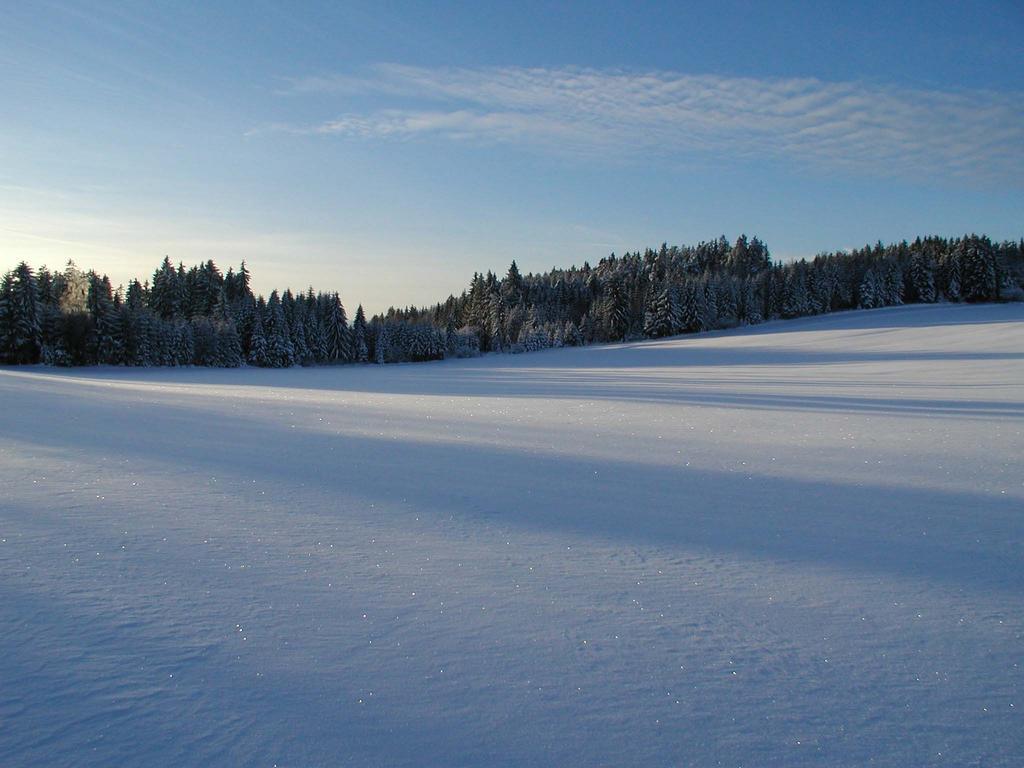 Prinzenhof Otel Gross Gerungs Dış mekan fotoğraf